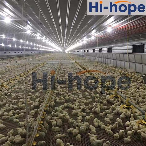 Manufacturer Agriculture Installation Lighting System Prefab Steel