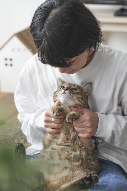 膝の上に座る猫と女性[10179021563]の写真素材・イラスト素材｜アマナイメージズ