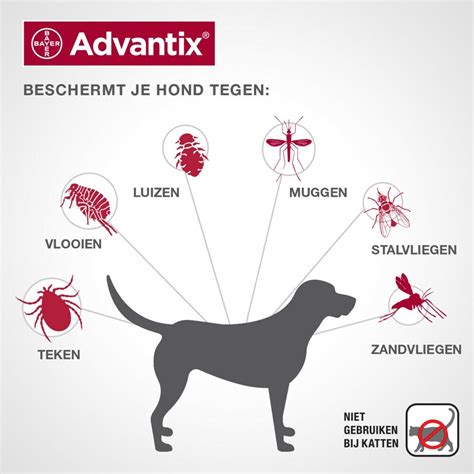 Bayer Advantix Vlooien Teken Pipetten Hond 4 Tot 10 Kg 6 Stuks Bol