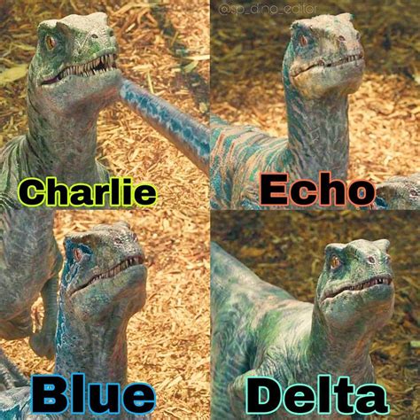 Rate Your Favorite Raptor Design Echo Charlie Blue Or Delta