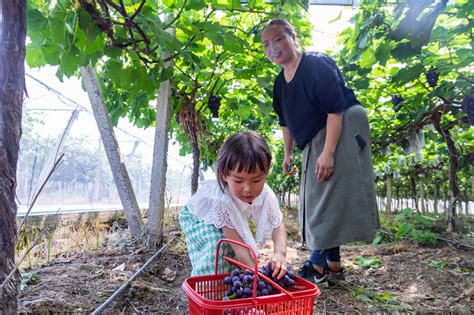 安徽泾县：农旅结合、以农促旅、以旅兴农腾讯新闻