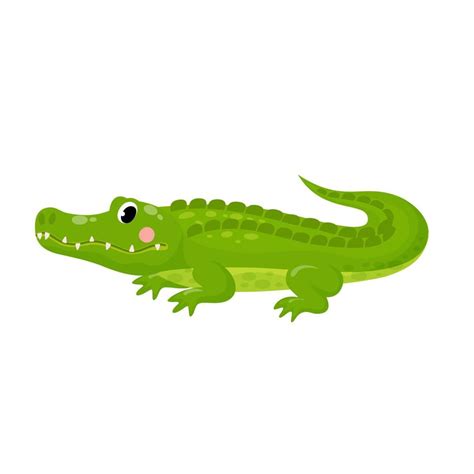 Vector illustration of cute alligator isolated crocodile in cartoon ...