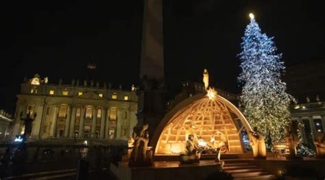 Vaticano Inaugura Monumental Rbol De Navidad Y Nacimiento Criterio