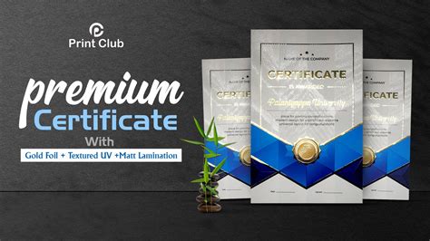 Premium Certificate Gold Foil Embossed Uv Metpet Sheet Print