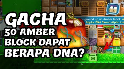 GACHA 50 AMBER DAPAT BERAPA DNA ProfitGakSih Eps 40 Growtopia