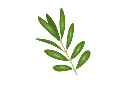 Olive Leaf By Red Sugar Design | TheHungryJPEG