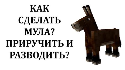 Как сделать мула в майнкрафт? Как приручить мула в майнкрафте? Как ...