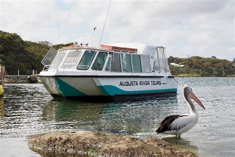 Augusta River Tours 2025 All You Need To Know Before You Go With
