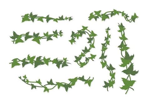 Ivy Border Vector Art Icons And Graphics For Free Download