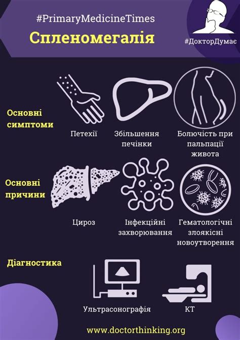 Спленомегалія - DoctorThinking