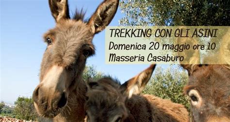 Trekking Con Gli Asini Nel Parco Delle Dune Costiere Alternativa