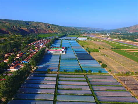 崇信：冬闲人不闲 大棚春意浓—甘肃经济日报—甘肃经济网