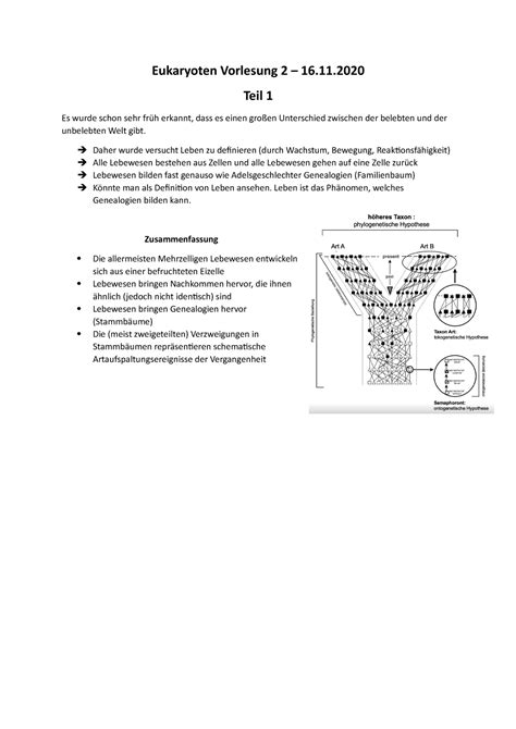 Eukaryoten Vl Vorlesungsnotizen Aufbau Und Biologie Der