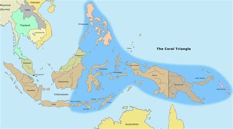 Coral Triangle - Alchetron, The Free Social Encyclopedia