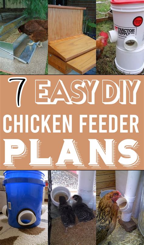 7 DIY Chicken Feeder Plans For Farms - The Newlywed