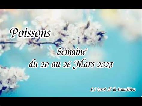 Poissons Semaine Du Au Mars Youtube