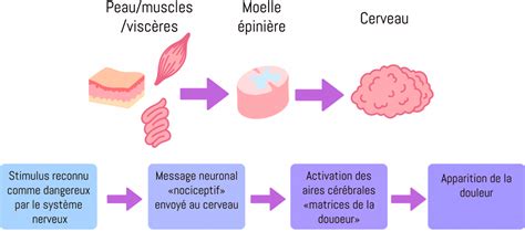 CNRD Résultats