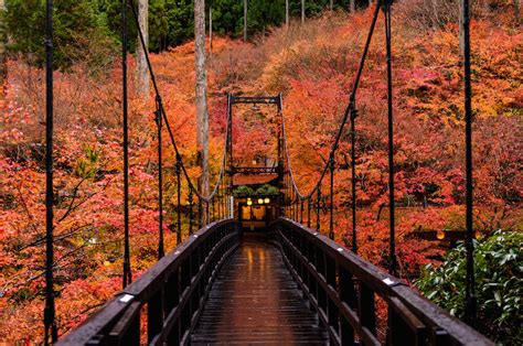 Dont Miss Out On Kyoto This Fall Autumn Foliage For Free Kokorography