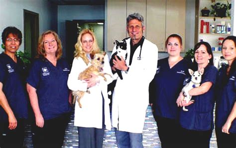 Vca Animal Hospitals Vca Veterinary Clinic