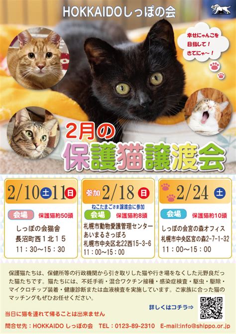 🐱2月の保護猫譲渡会3件のお知らせ 犬猫新しい飼い主（里親）募集 認定npo法人hokkaidoしっぽの会