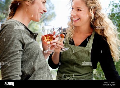 Two Women Toasting With Wine Glasses Stock Photo Alamy