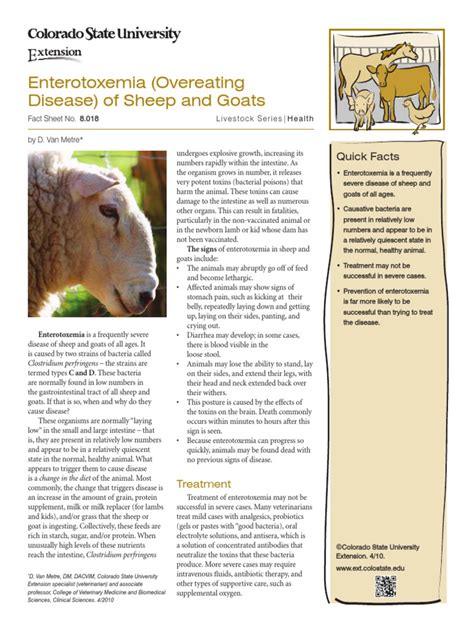 Enterotoxemia Of Sheep And Goats Pdf Sheep Vaccines