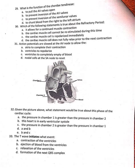 Solved 29 What Is The Function Of The Chordae Tendineae A