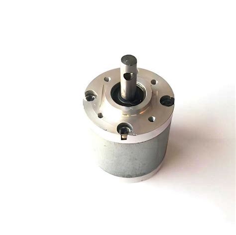 24mm Metal Geared Motor Worm Gear Dc Motor 12v 250 Rpm Speed