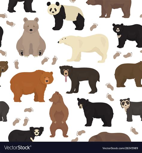 All world bear species in one set bears seamless Vector Image