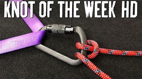 Belay and Control Your Descent with the Munter Hitch - ITS Knot of the ...