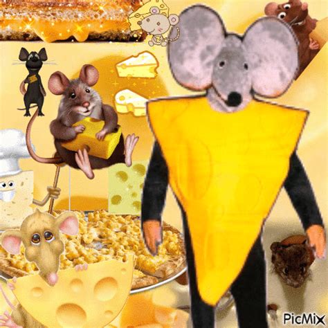 Mouse Eating Cheese Gif