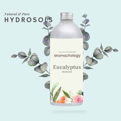 Hydrosol Buy Best Pure Natural Hydrosols Wholesale In Usa