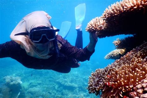 Paket Tour Karimunjawa Mirabelle Village • Wisata Karimunjawa 2025