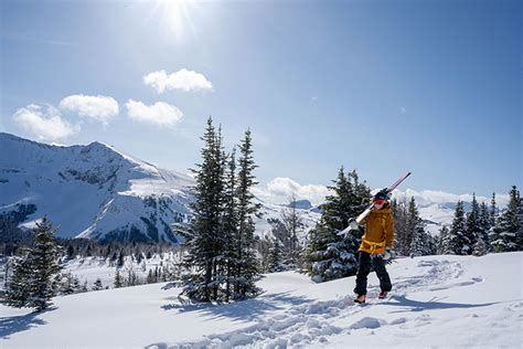 Planifiez Vos Vacances De Ski à Banff Et Lac Louise Skibig3