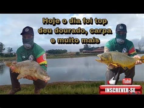 Hoje A Pescaria Foi No Pesqueiro Gabardo Em Montinegro Rs Muito Peixe