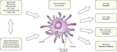 Is Behçets Disease A ‘class 1‐opathy The Role Of Hla‐b51 In The