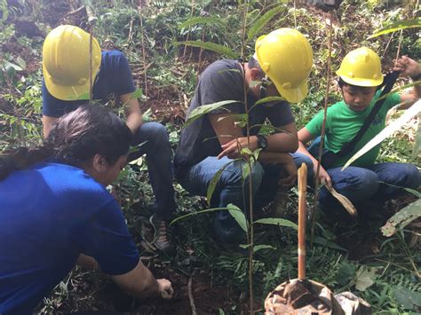 Sierra Madre Reforestation And Livelihood Development With Uplb