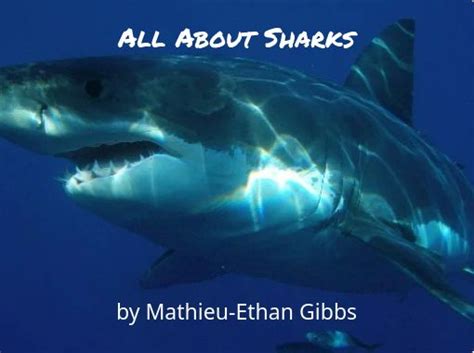 All About Sharks Free Stories Online Create Books For Kids