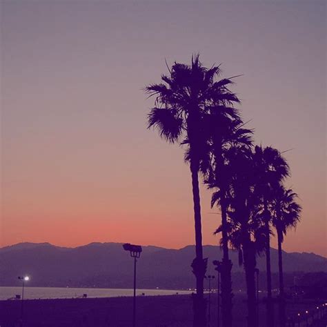 Instagram Jonanomad Santa Monica Sunset Palm Trees Los Angeles