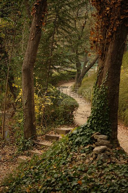 秋季风景 第比利斯植物园的公路叶子木头薄雾公园路线晴天农村橙子阳光小路高清图片下载 正版图片320835816 摄图网