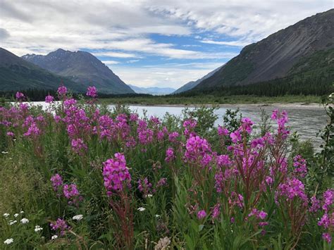 The Complete Itinerary for the Ultimate Alaska Road Trip » The Parks Expert