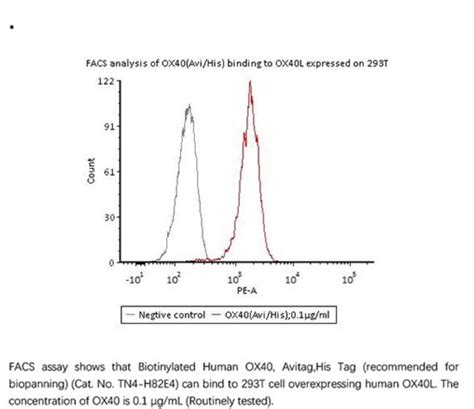 ACROBiosystems Recombinant Protein Biotinylated Human OX40 TNFRSF4