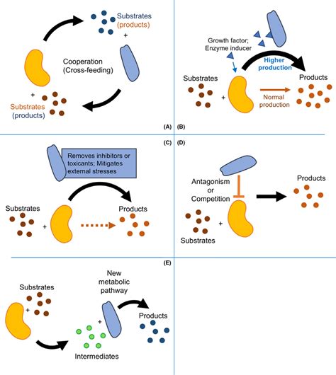 Microbial Identification System