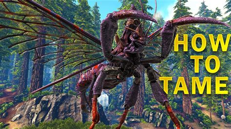 How To Tame Rhyniognatha The Sky Giga In Ark Survival Evolved YouTube