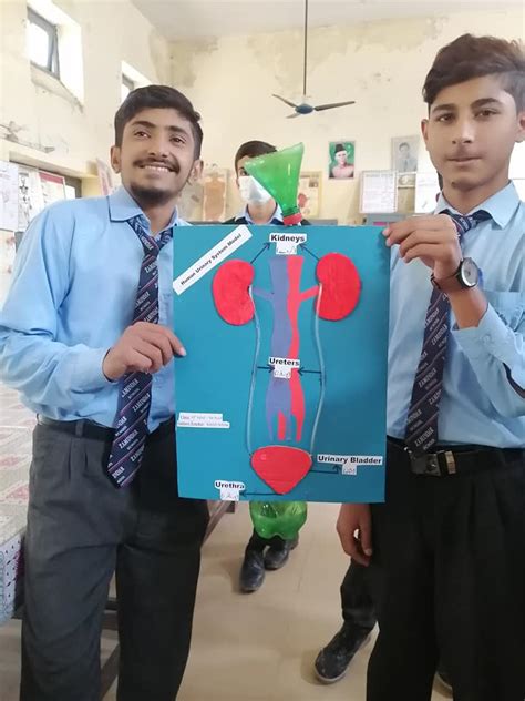 Govt Zamindar High Govt Zamindar High School Gujrat