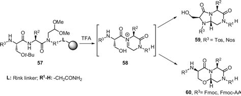 Scheme 10 Chemoselective Control Of Attacking Nucleophile In The Tandem Download Scientific