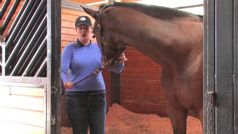 Learn How To Safely Tie Up Your Horse Youtube