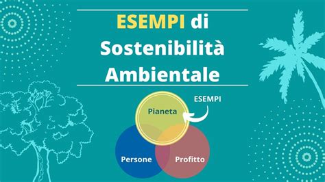 7 Esempi di sostenibilità ambientale