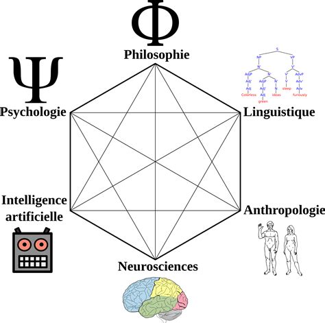 Sciences Cognitives Quelles Sont Ses Disciplines Et Ses Processus