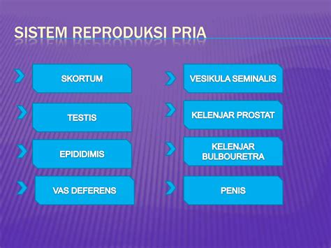 Ipa Biologi Sistem Reproduksi Smpn 1 Bandung Kelas 9 10 Ppt